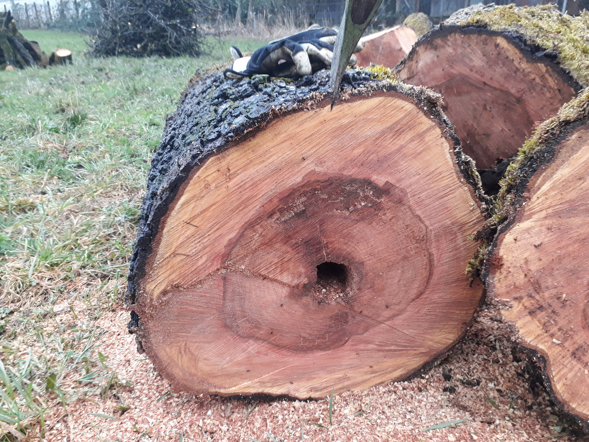 Birnenholzstamm beim Sägen mit Axt und Moos als Ausgangsmaterial für Holzhandwerk.
