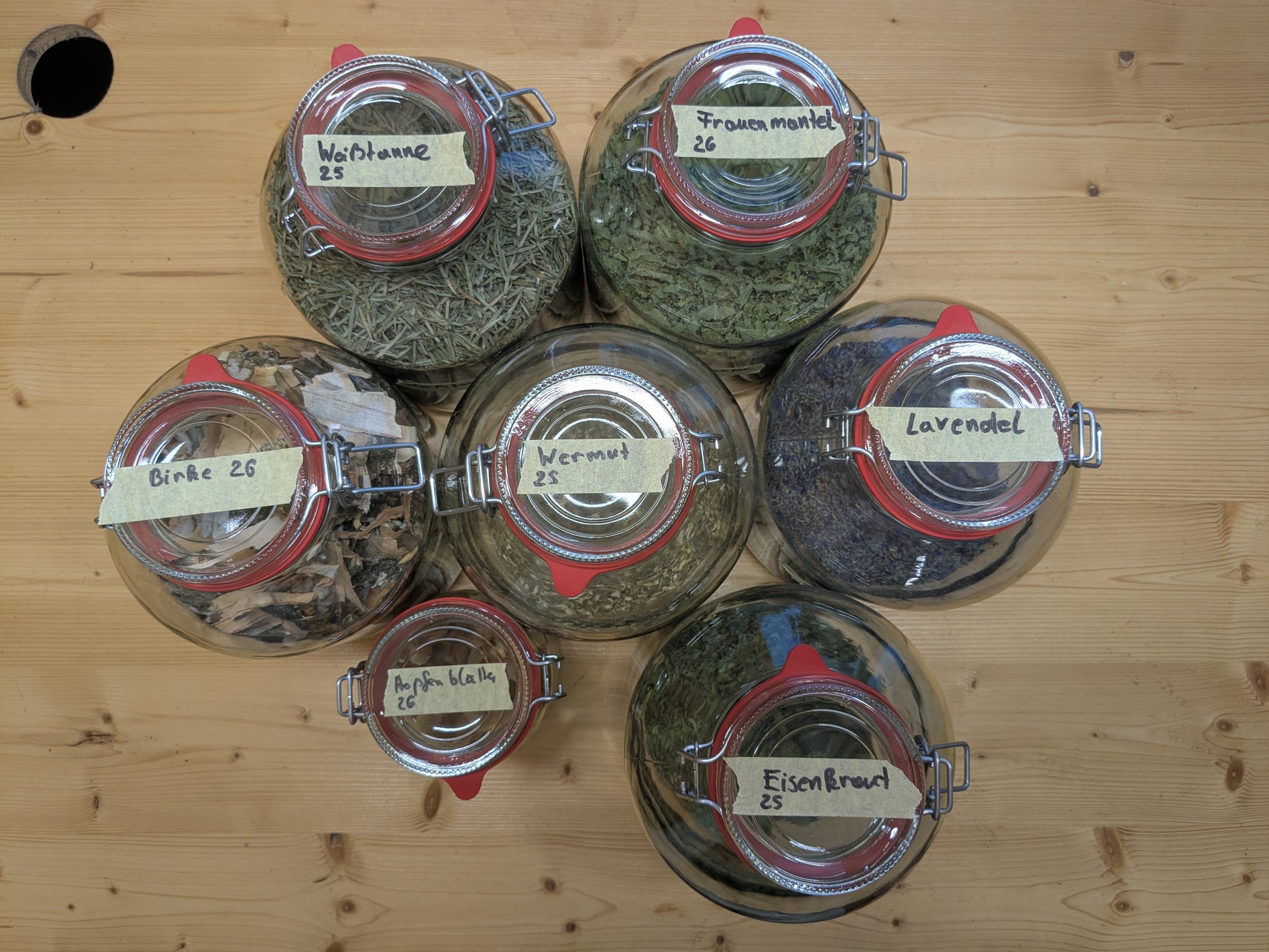 Draufsicht auf mehrere Bügelgläser mit beschrifteten Kräutern wie Lavendel, Wermut und Hopfenblüten auf Holztisch