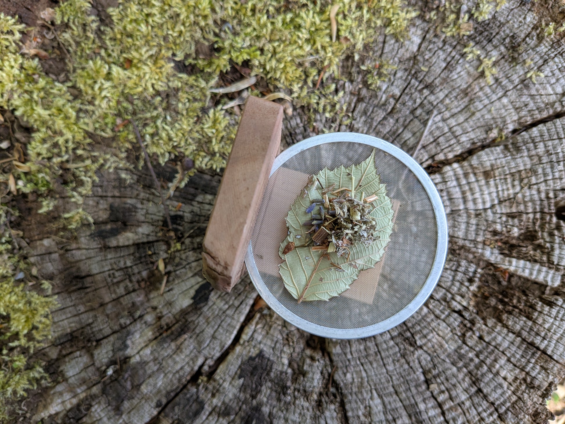 Kräuter räuchern mit Räucherstövchen und Sieb auf einem Baumstumpf in der Natur