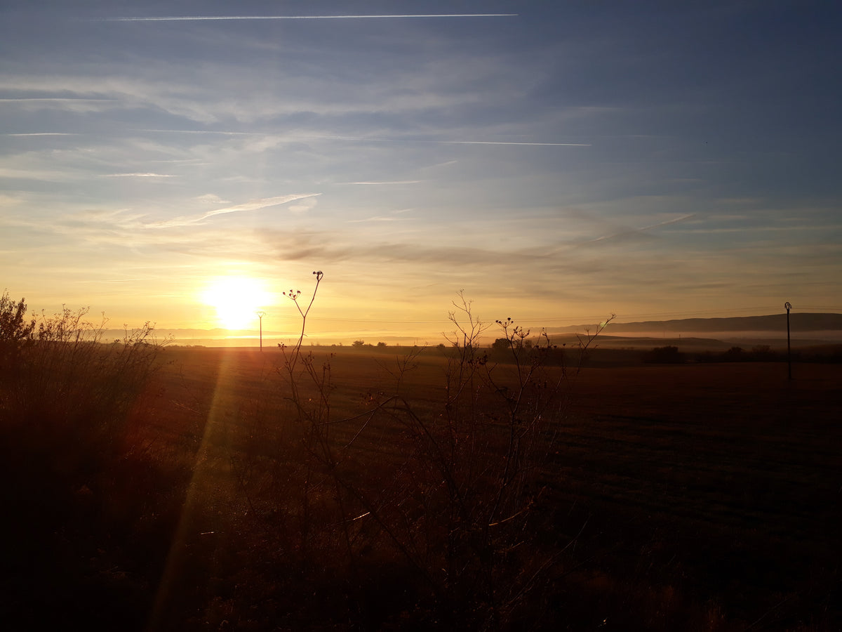 Sonnenaufgang auf dem Jakobsweg, der den Neubeginn und einen neuen Lebensabschnitt symbolisiert.